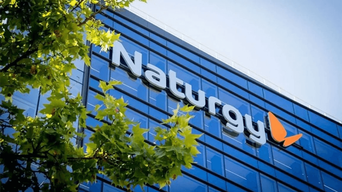 Caso de successo : NATURGY
