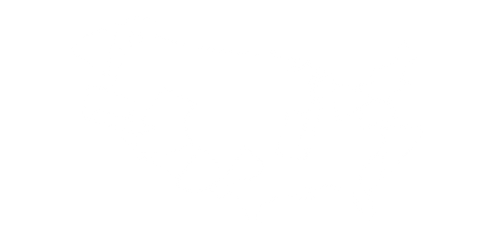 Critical Communications 1