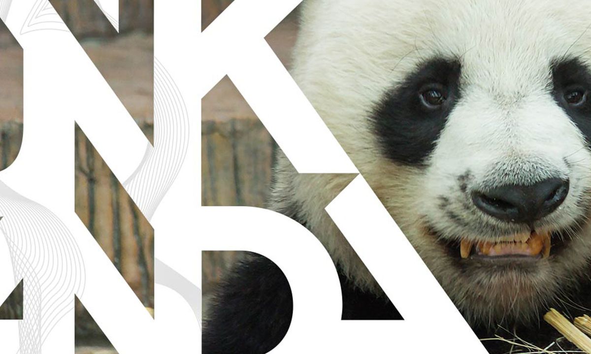 Digital Media S.A. de C.V. Happy Punk Panda