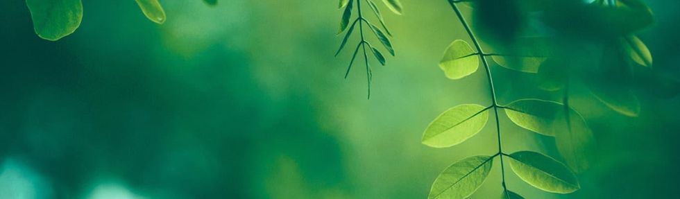 Consuma menos energia, conserve mais dinheiro