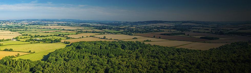 Cost-efficient ownership, low environmental impact