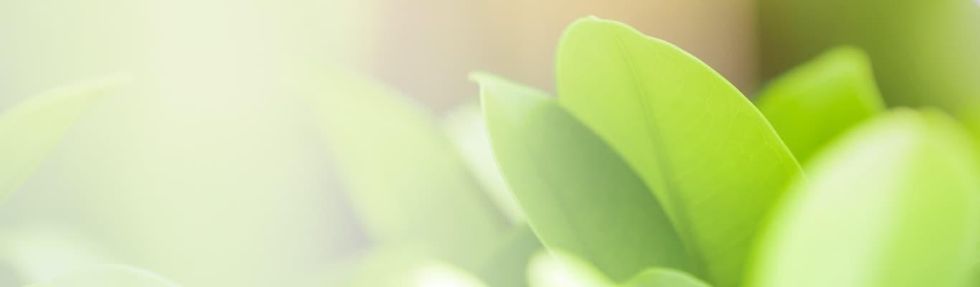 Seja inteligente, seja gentil com o meio ambiente
