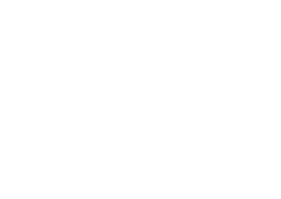 Punch, punch tabs, double punch