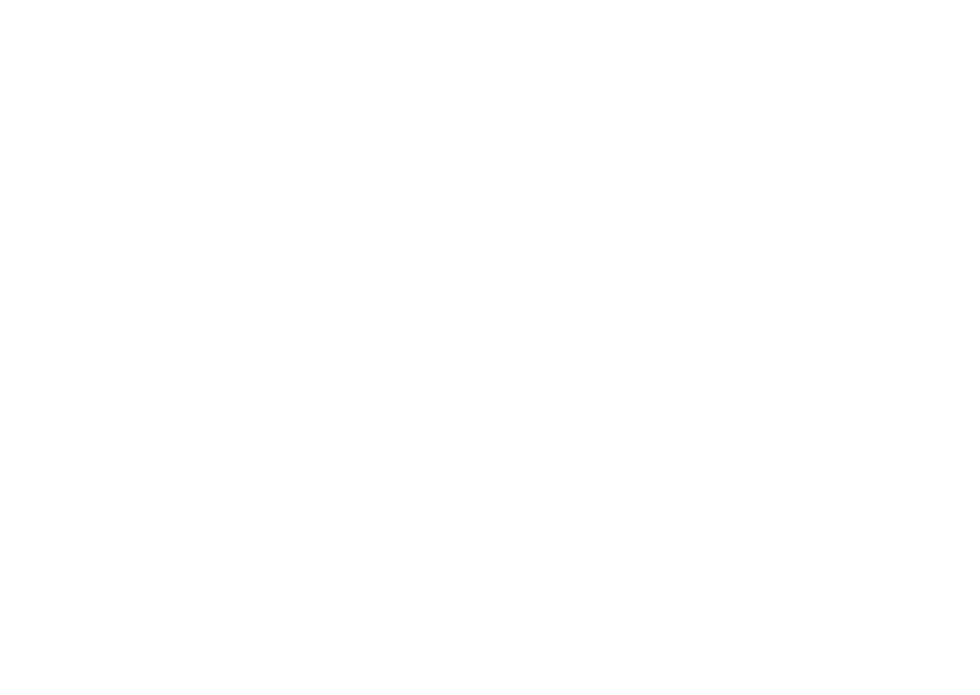 Enjoy versatile networked projection