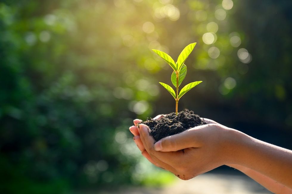 Toma decisiones responsables con el medio ambiente