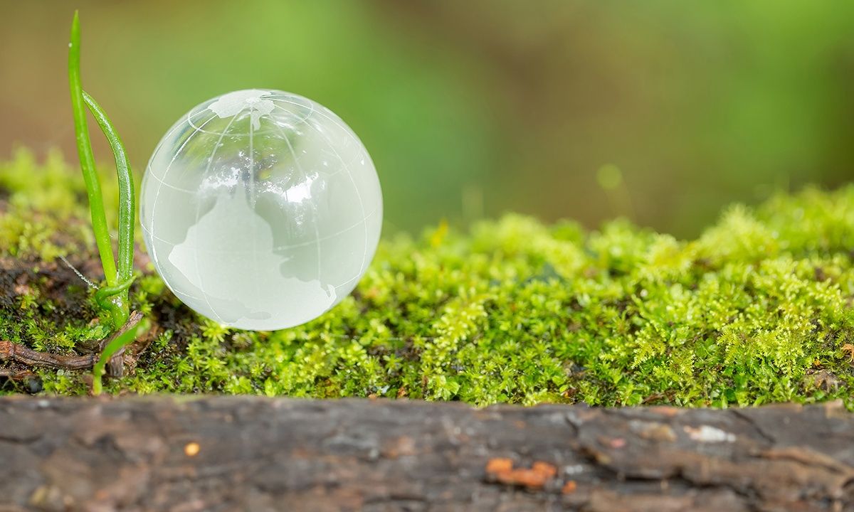 How can you print more sustainably?