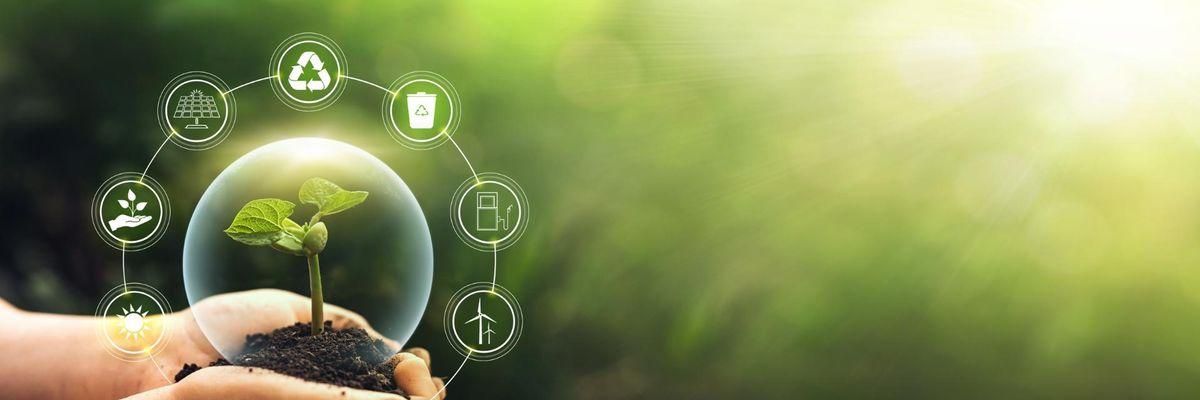 For its good sustainability practices, EcoVadis awards Ricoh with gold rating