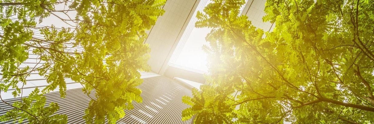 Ricoh recognized for its climate change action with place on prestigious CDP2021 Supplier Engagement Rating Leaderboard