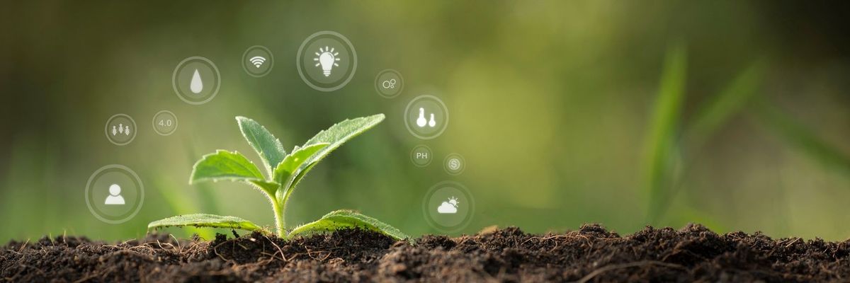 Nikkei SDGs Management Survey da a Ricoh una calificación de cinco estrellas