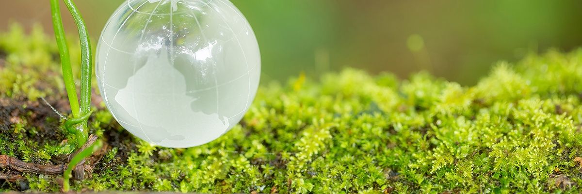 How can you print more sustainably?