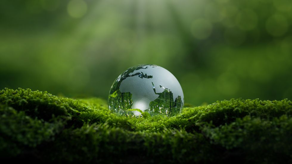 Sustainable design