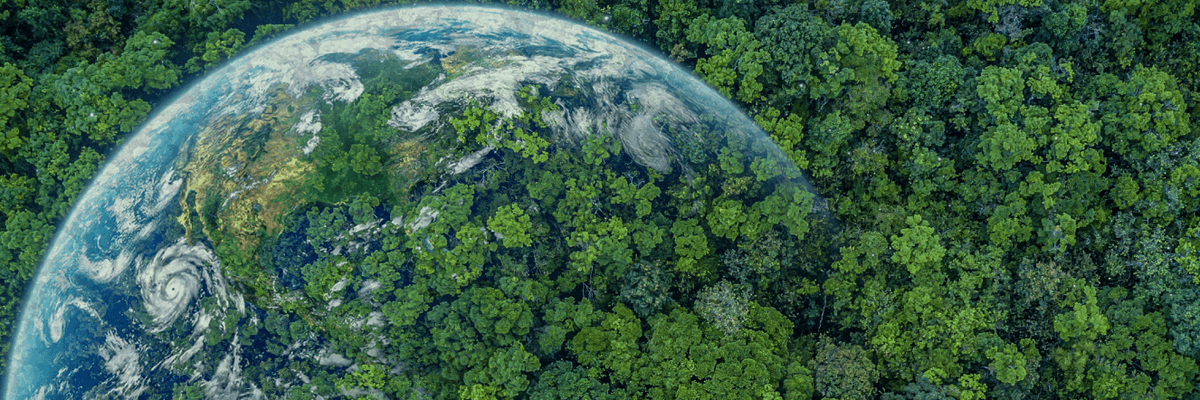 Por sus buenas prácticas de sustentabilidad, EcoVadis premia a Ricoh con calificación de oro