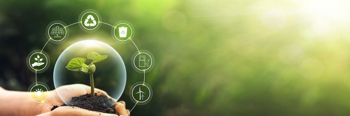 Por sus buenas prácticas de sustentabilidad, EcoVadis premia a Ricoh con calificación de oro