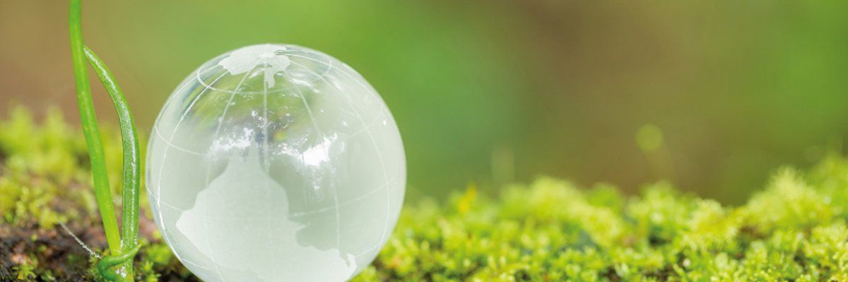 Ricoh arranca en junio su iniciativa “Global SDGs Action Month"