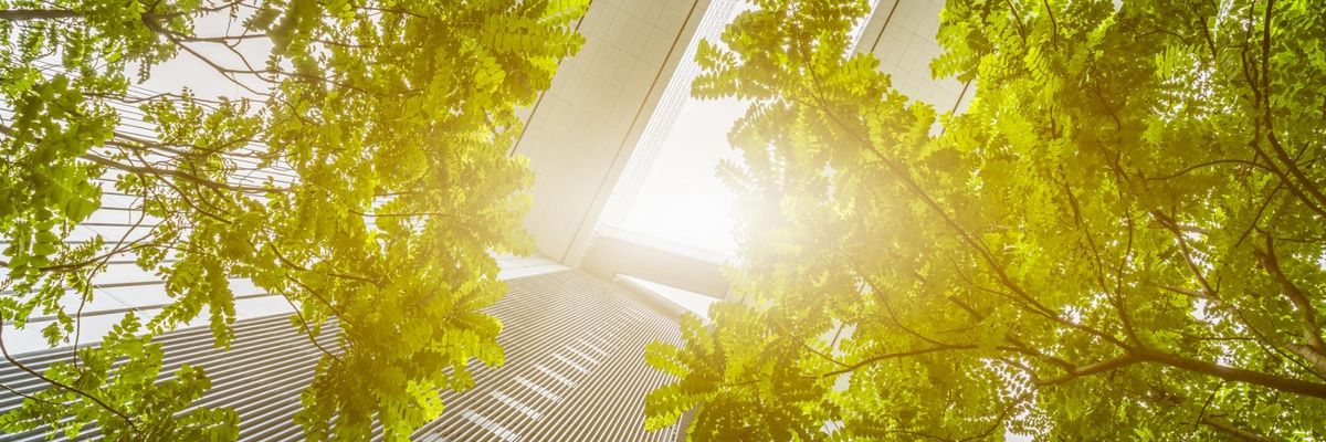 Ricoh es reconocido por su acción contra el cambio climático con un puesto en la prestigiosa CDP2021 Supplier Engagement Rating Leaderboard