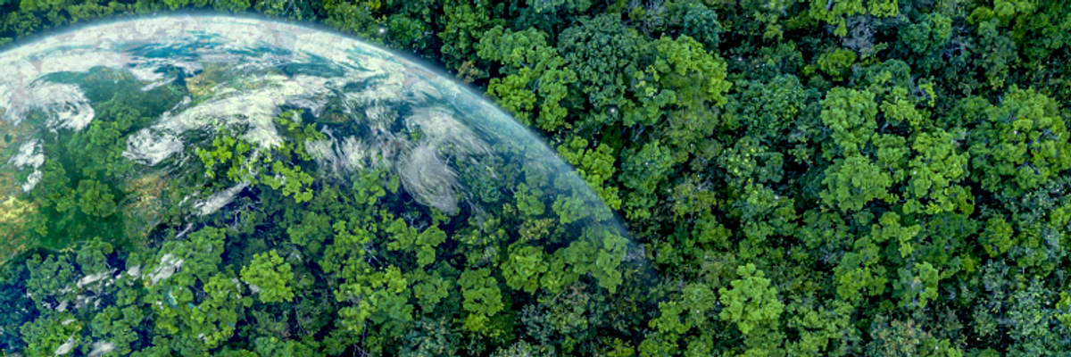 Ricoh Group advances its climate emergency plan