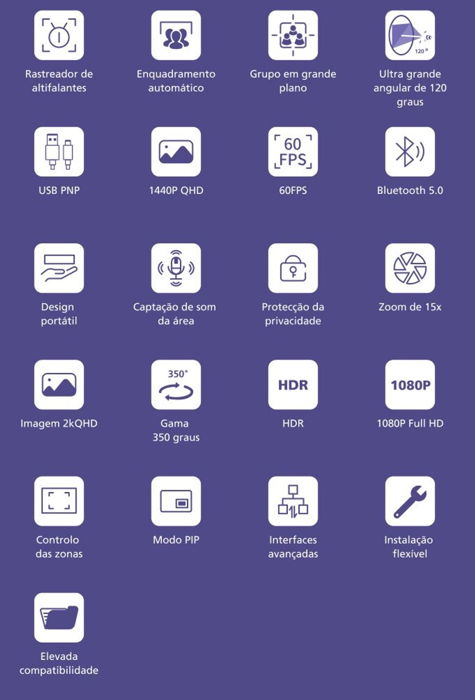 ricoh-nearity-caracteristicas
