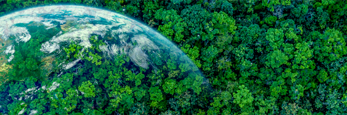 Ricoh vence na categoria Valor Ambiental